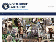 Tablet Screenshot of northridgelabradors.com